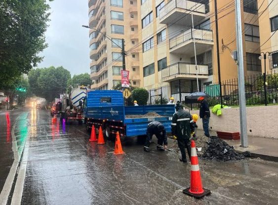 Imagen de noticia: Municipio despliega equipos en toda la ciudad y aplica medidas de emergencia ante frente climático en Viña del Mar
