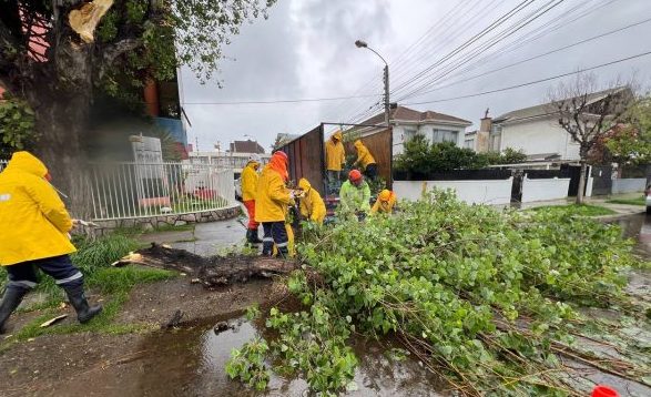 Imagen de la noticia Municipio despliega equipos en toda la ciudad y aplica medidas de emergencia ante frente climático en Viña del Mar